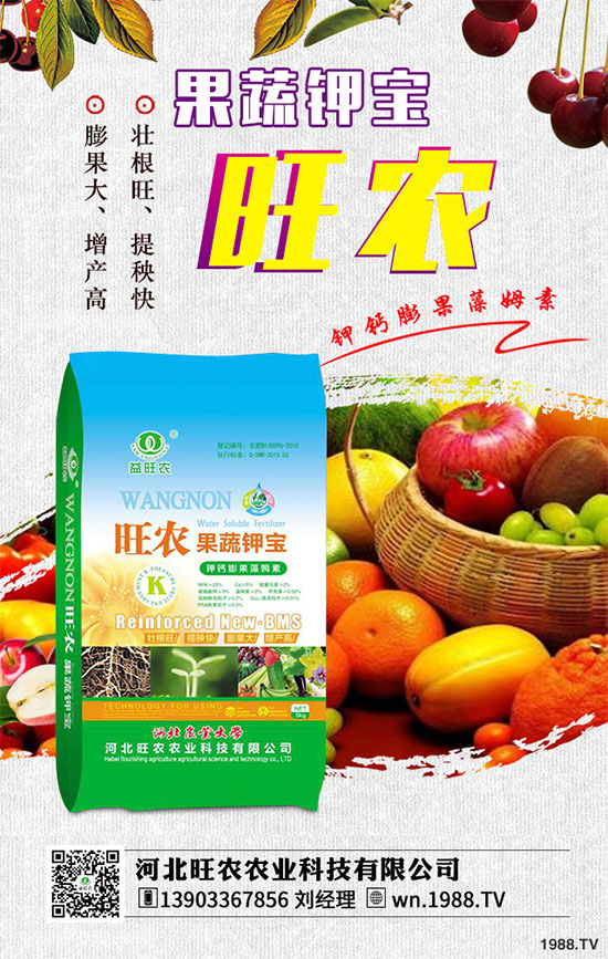 ��������ķNֲ�r�g������������������Ҫ�c����Щ��