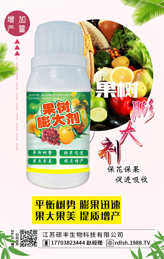 ��ľ���Ĺ�Ч�c��������ľ�����ʳ��������Щ��