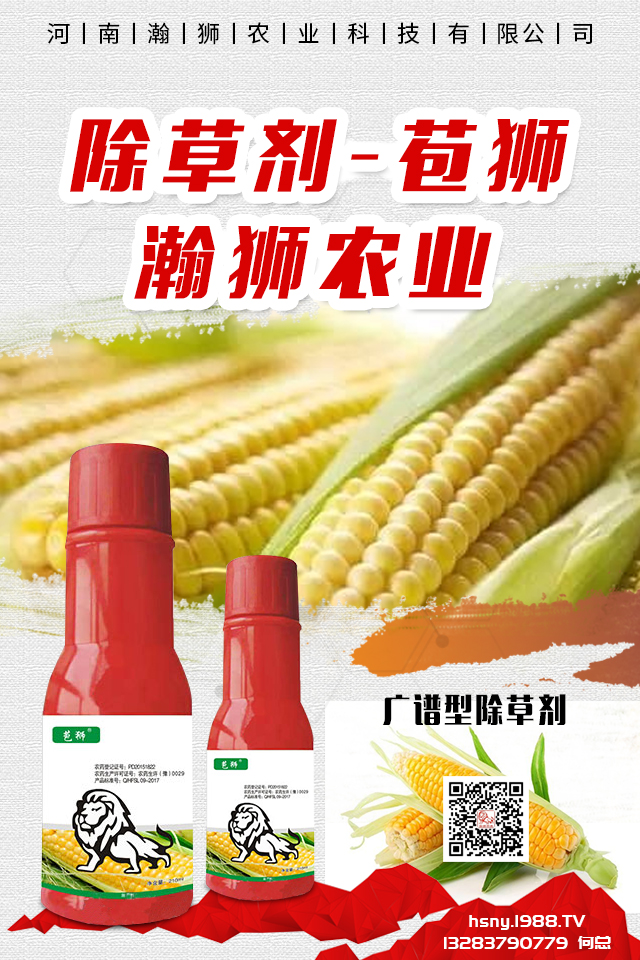 �������x����N���ò������������x����N����B