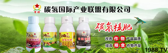 �ϰټ�ý�w��(b��o)�������쳬�^(gu��)�W��ʳƷ��(bi��o)��(zh��n)������̼?x��)�˷ʾ����@ô�𱬣�