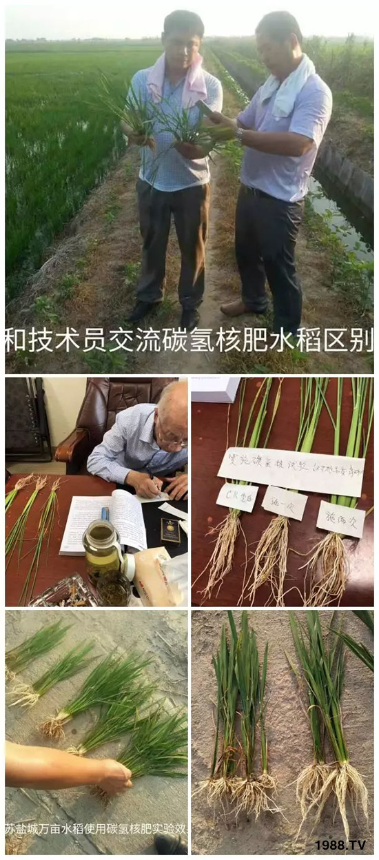 �ϰټ�ý�w��(b��o)�������쳬�^(gu��)�W��ʳƷ��(bi��o)��(zh��n)������̼?x��)�˷ʾ����@ô�𱬣�