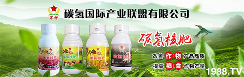 �����������L(zh��ng)���߉��£����ͷ���Ѹ������������ƌW(xu��)���L(zh��ng)���g�޴�