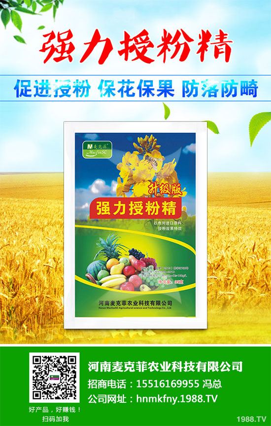 �������Щ�I�B(y��ng)�rֵ���Խ������Щ��̎����˵Ĺ�Ч�c����