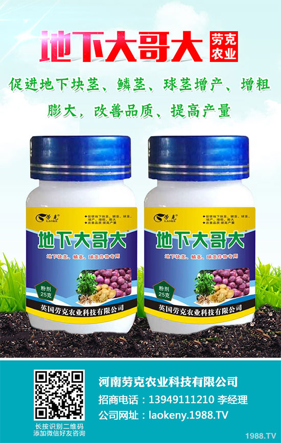 �������Щ�I�B(y��ng)�rֵ���Խ������Щ��̎����˵Ĺ�Ч�c����