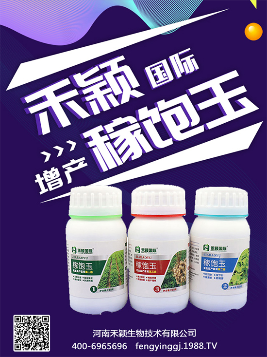 ����Nֲ���ի@�r(sh��)�g������Nֲ�����L(zh��ng)�h(hu��n)����