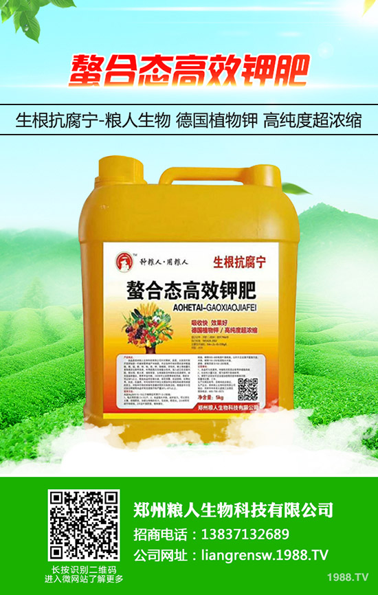 ���y�����ʩ�������y���߮a(ch��n)ʩ��Ҫ�c(di��n)��