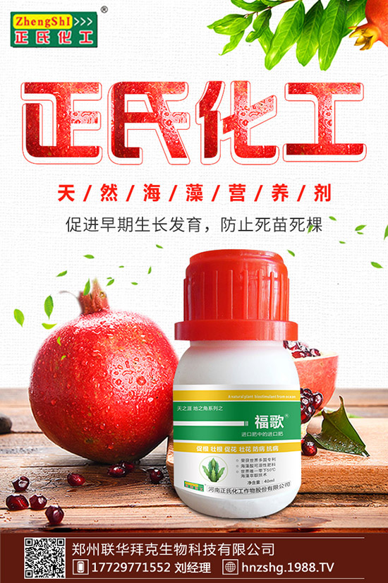 ���y����ʲô���ã����y���Ĺ�Ч�cʳ�ý�����