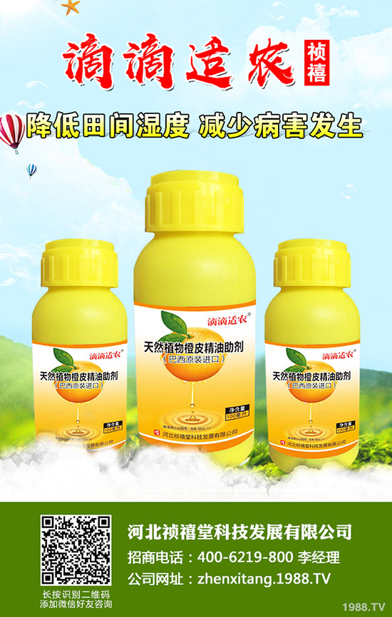 �＾��ݮ��ι������ܸ߮a(ch��n)���＾��ݮ��ֲ�������g(sh��)��