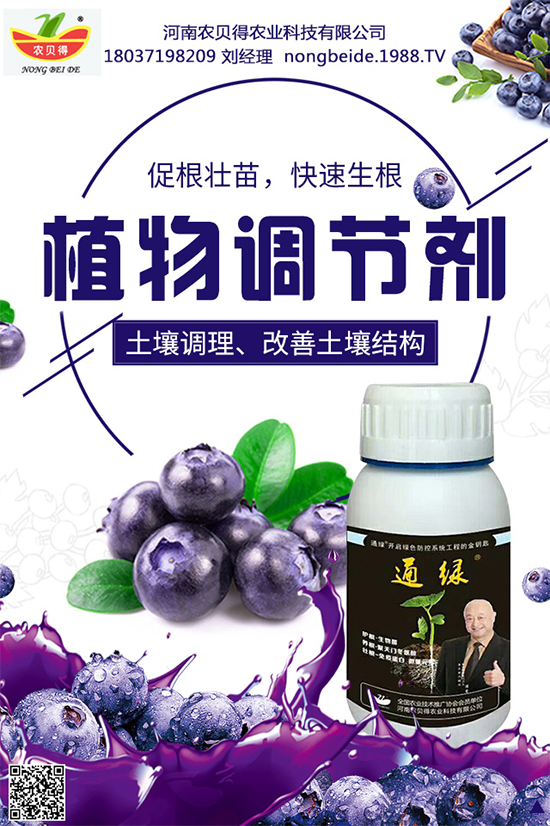 大蔥該如何育苗?育苗后大蔥管理方案