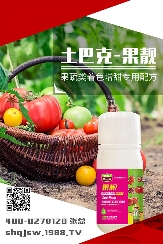 �ϹϷNֲ�r�g��ʲô�r�����ϹϵĲ��N���������༼�g(sh��)!