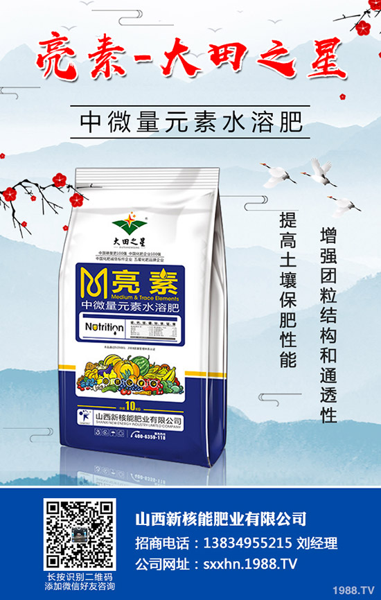 �＾�߲�����������＾���õ������С���������g(sh��)��