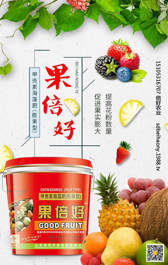 ʥŮ��ʲô�r(sh��)�g�Nֲ��ʥŮ���Nֲ���g(sh��)Ҫ�c(di��n)����Щ��