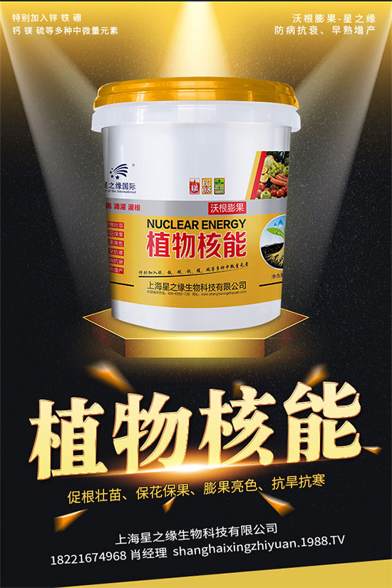 如何選擇辣椒種子?辣椒品種有哪些?