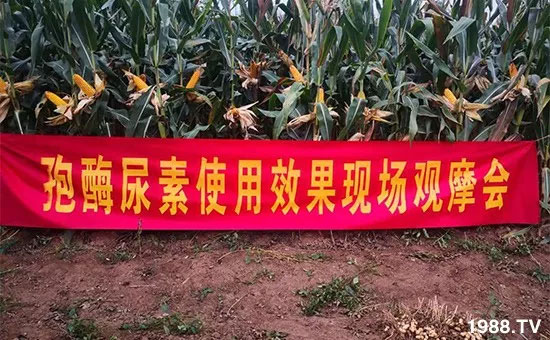 �ٿ���С�����a1471�����pø����ȫ�����������߮a������֮�o����