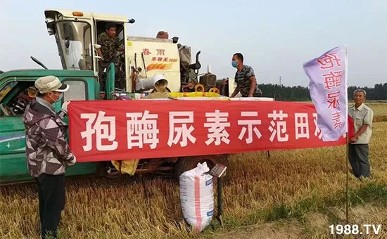 �ٿ���С�����a1471�����pø����ȫ�����������߮a������֮�o����