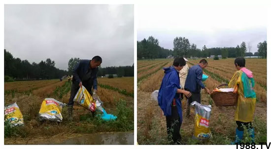 �ٿ���С�����a1471�����pø����ȫ�����������߮a������֮�o����