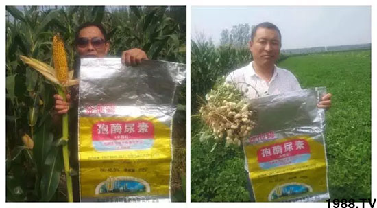 �ٿ���С�����a1471�����pø����ȫ�����������߮a������֮�o����