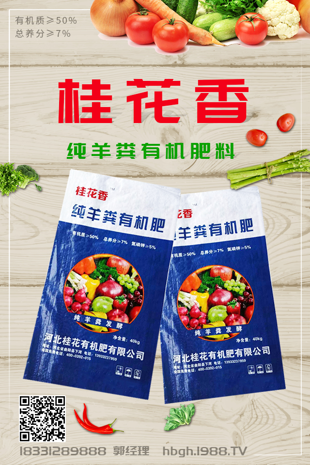 �ӱ����ЙC(j��)�����޹�˾1