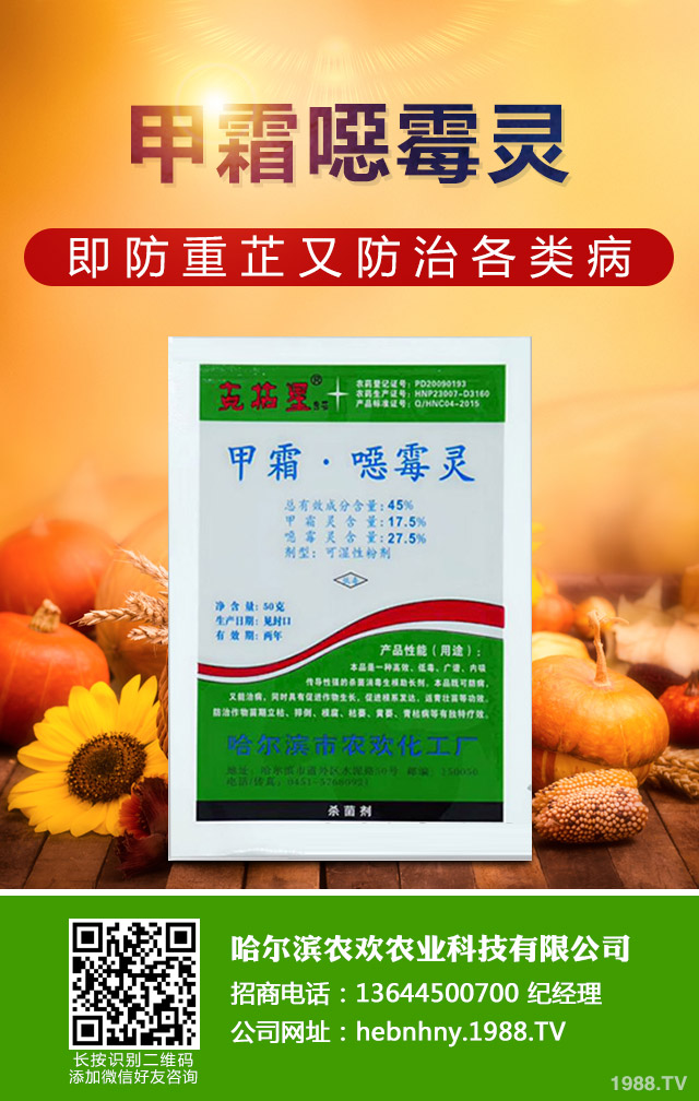 �����S�ϻ�ù����η����������S�ϻ�ù�����ؼ���