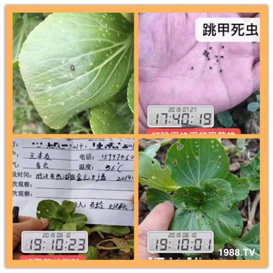     ���θ߿��԰׷�ʭ�������x����һ���Ɣ�