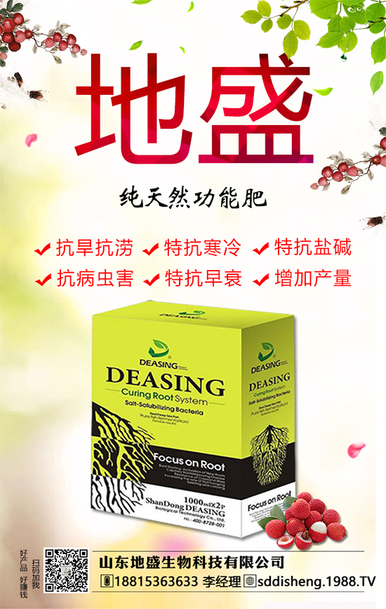 油茶樹(shù)的種植管理方法,油茶樹(shù)的經(jīng)濟(jì)價(jià)值如何?