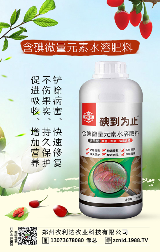 茭白高產(chǎn)方案，認(rèn)準(zhǔn)茭白的科學(xué)施肥方法