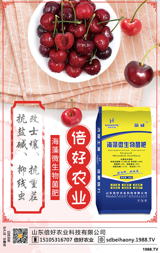     ���������߄�(sh��)һ�㣡2020��1����Ѯ�����Ѓr(ji��)������A(y��)�y(c��)��