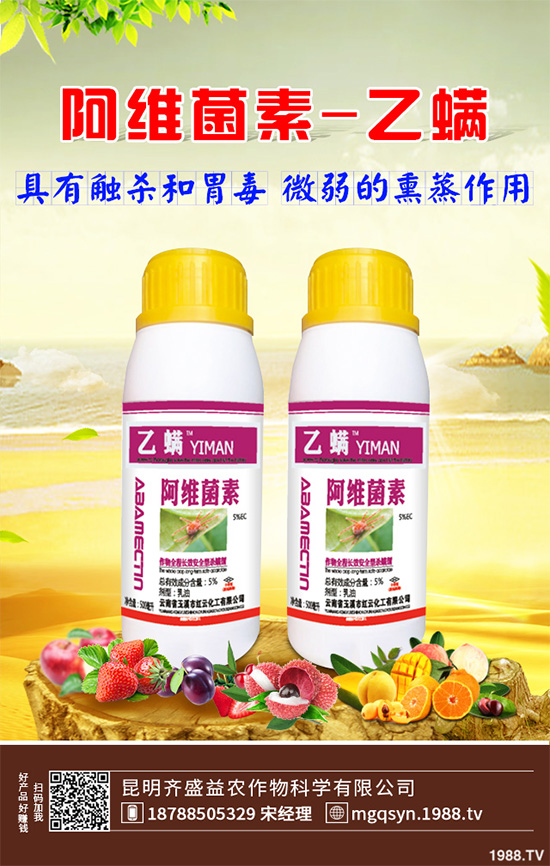 ���S����