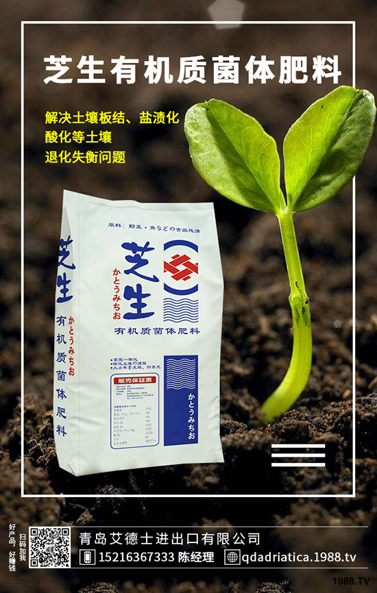 ��������Щ�I(y��ng)�B(y��ng)�r(ji��)ֵ�����ҵĹ�Ч�c������ʲô������xُ(g��u)��