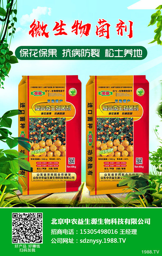     2020���׷ʃr�����������Ϳ��������������׷����������