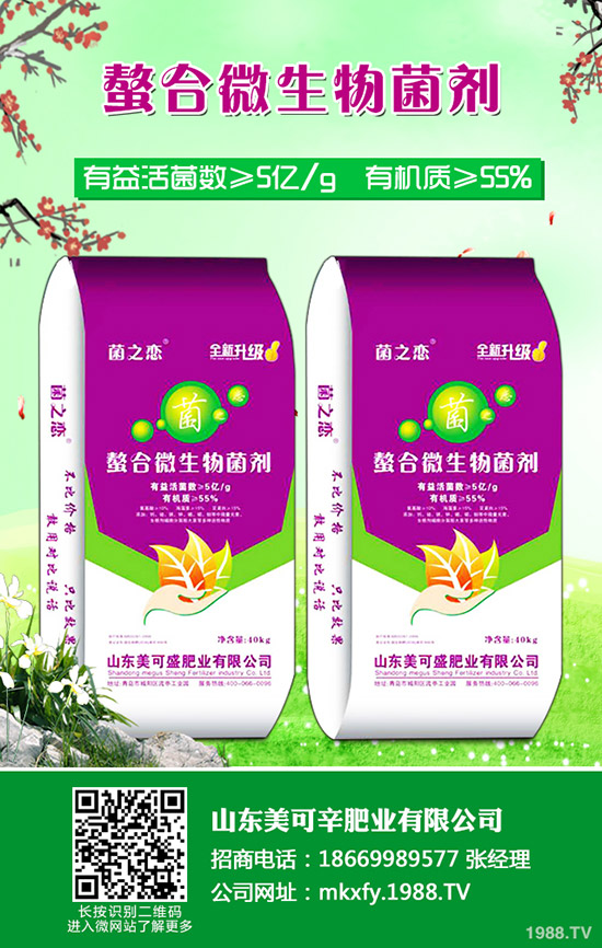     2020�����؃r(ji��)�������߄�����������Xһ����