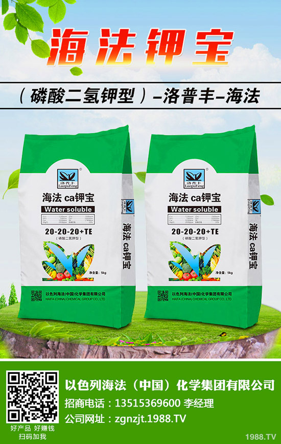 �������ö�������޼�����䶬���޼��ĕr(sh��)�g��������