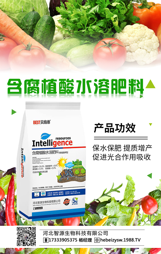 冬瓜要想吃不完,要學(xué)會冬瓜的科學(xué)種植!