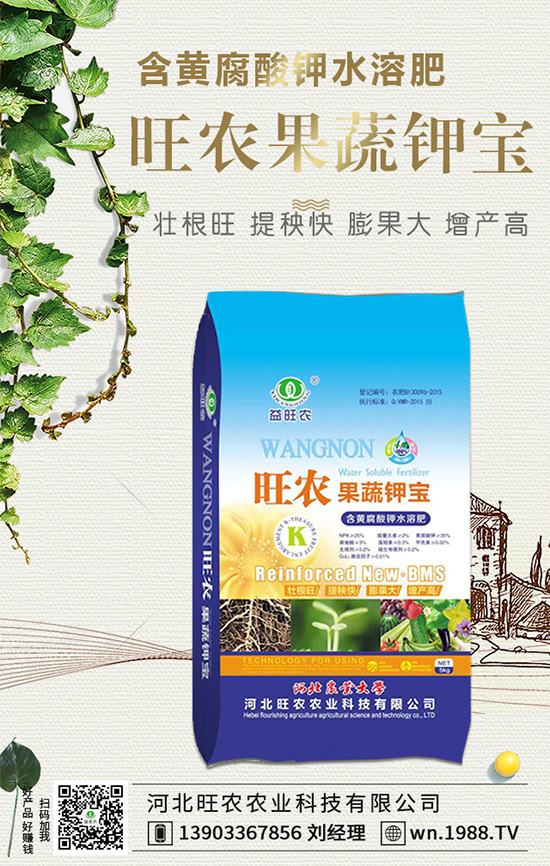 ���������L(zh��ng)��(x��)������Щ���������B(y��ng)�o(h��)Ҫ�c(di��n)��