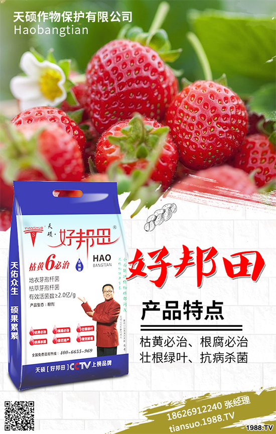 �����Ϲ�ԓ��ηNֲ�������Ϲϴ���Nֲ���g(sh��)