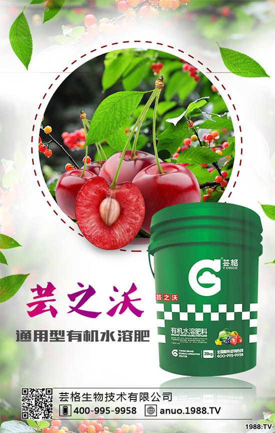 ������ԓ��ηNֲ��������ķNֲ��������