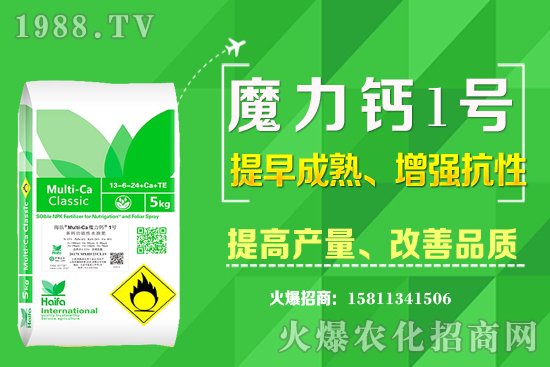 ʮ����Ѯ�m�ϷNֲʲô��ˎ�ģ���Щ��ˎ��ٍ�X�������