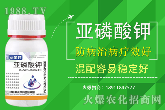 �������Ҫ��������ʲô������֮�g��ʲô�P(gu��n)ע��