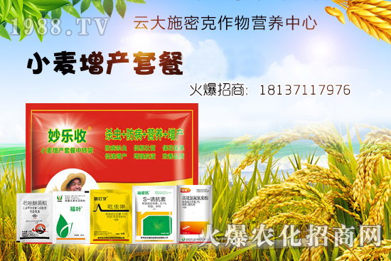 С�����N�󲻳��磿��ʲôԭ����ɵ���