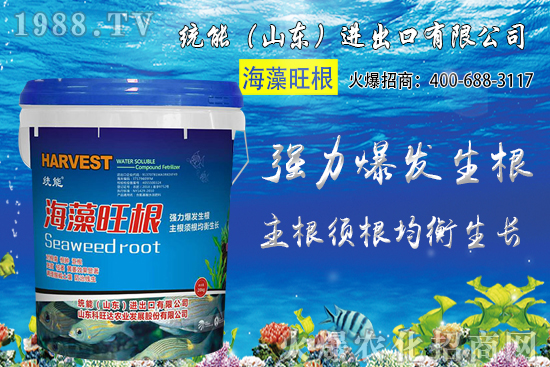 小麥價(jià)格大范圍上漲!預(yù)計(jì)小麥價(jià)格將突破1.25元/斤