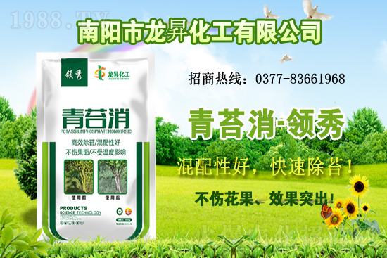 �󶹹�����(y��ng)�����r(ji��)����m(x��)�ϝq�����ش󶹃r(ji��)������