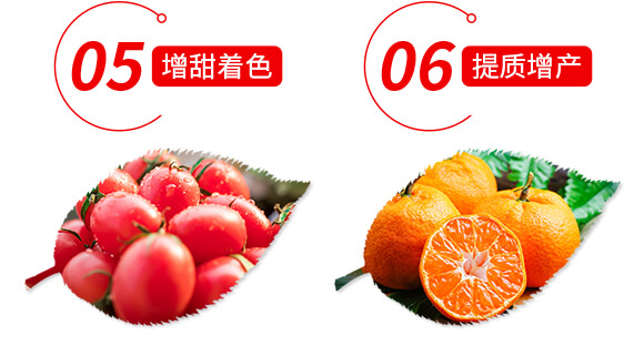 稀土微量元素水溶肥料-果滿園-貝德樂_07