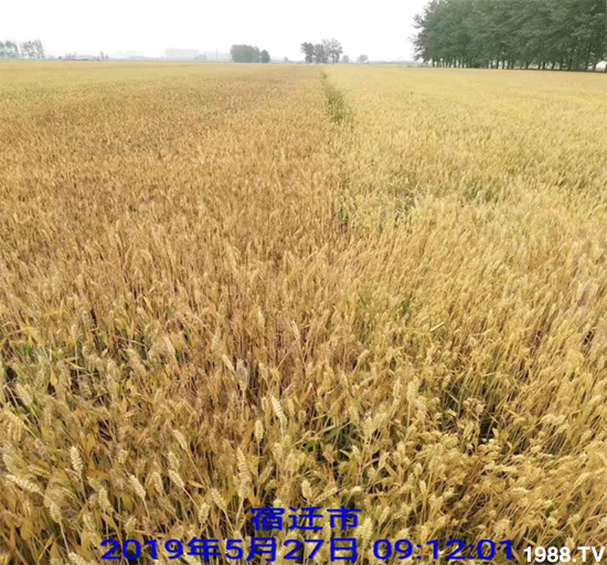 С����ù��Σ�����c(di��n)������С����ù����ʲôˎ��