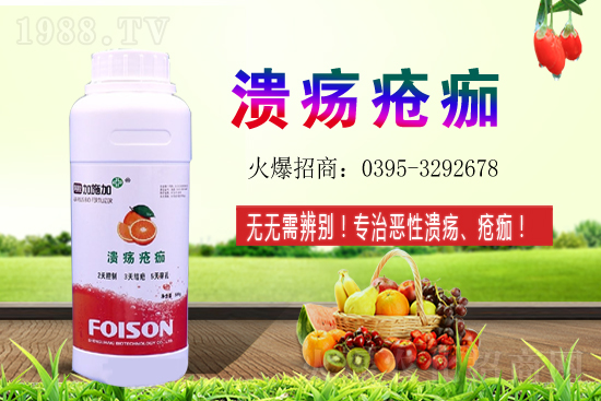 2021��ʯ��Nֲ���������ʯ�������ǰ����ô����