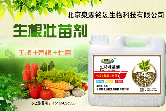 һ���y����2020-11-25�|�����ϝqѸ��