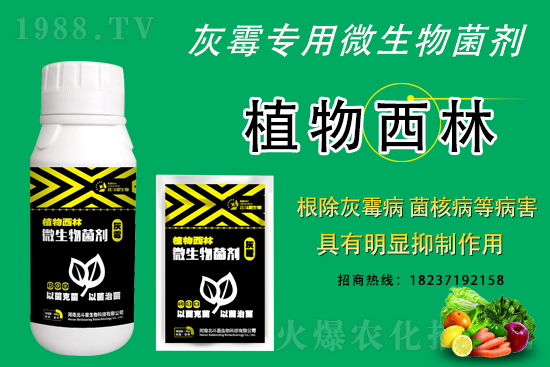 ��ù�������ε�ԭ����ô������Ч������