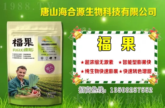 ĿǰС��?zh��n)��?g��u)�����Xһ����С���r(ji��)�����������