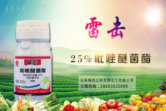 ħ��r(ji��)������Xһ����2021��ħ��Nֲǰ����Σ�