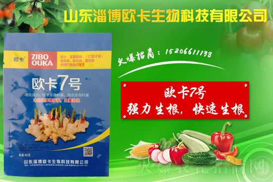 �󽪠����Ӳ���ʲô�����󽪠����Ӳ���ʲôˎ�÷���