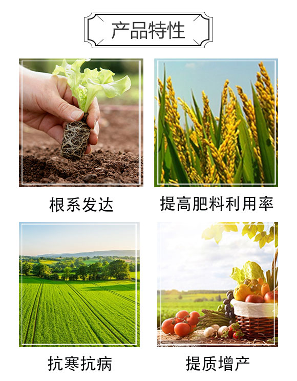 雷效礦源黃腐酸鉀-嘉田農業(yè)_03